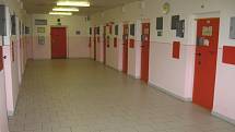 Vazební věznice v Českých Budějovicích je vybavena vycházkovým dvorem, knihovnou, vlastní zubní ordinací i kulturní místností.