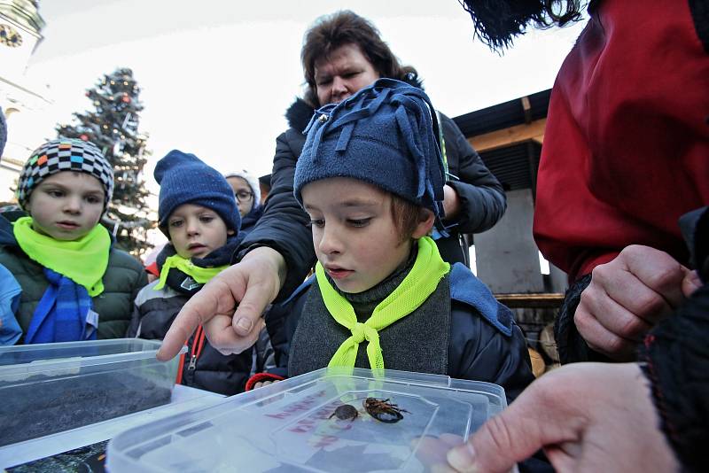 Na náměstí Přemysla Otakara II. se zjevilo biologické peklo. Vědečtí čerti lákali do svých spárů děti a předváděli jim rybí parazity, šváby i Faraonova hada.