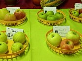 Jablka je možné vystavovat nebo třeba vylisovat a získat mošt. Oboje tradičně nabízejí zahrádkáři v Nových Hodějovicích. Na snímku podzimní výstava zahrádkářské produkce a jiných plodů přírody.