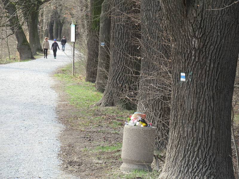 Přírodní rezervace leží na severozápadním okraji Českých Budějovic a má rozlohu 245,8 ha. Zahrnuje čtyři rybníky, mokřady a louky. Vyznačuje se bohatou a unikátní faunou i flórou.