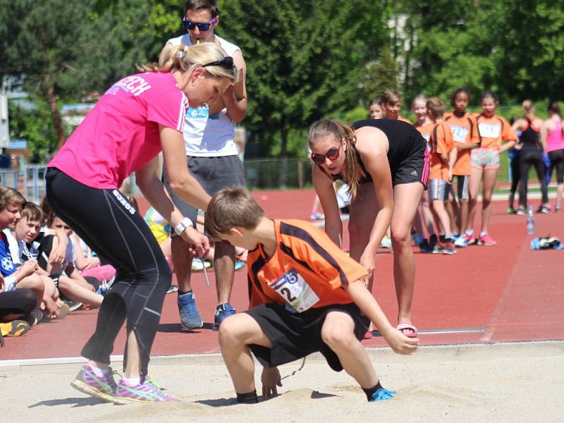 Sokol České Budějovice pořádal ve čtvrtek 18. května Štafetový pohár. Krajského finále se zúčastnilo kolem tří set dětí.