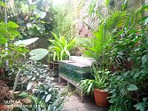 Pohled do tropického skleníku, kde na návštěvníky kromě rostlin čeká i několik vodních želv, papoušků a akvarijních ryb.