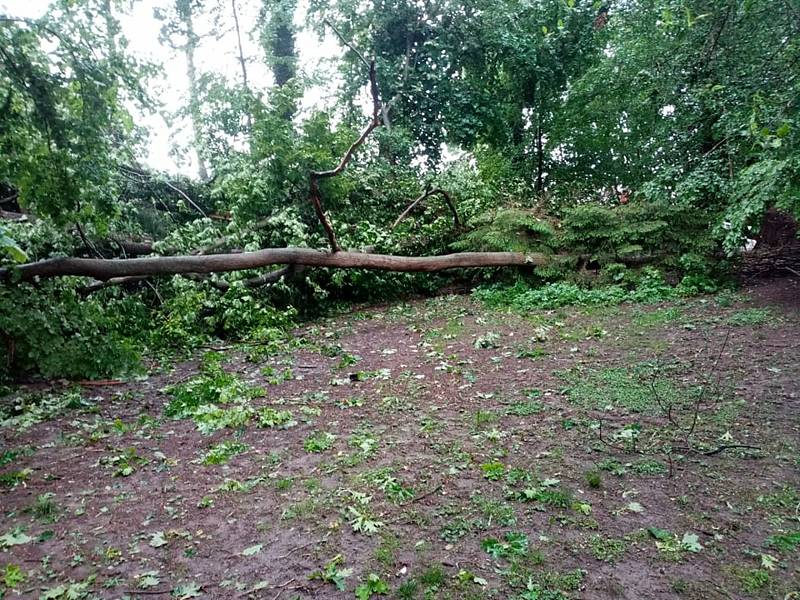 Na psí kotce a na garáž spadly Ivanovi Horáčkovi z Chlumu u Třeboně při sobotním dešti a větru čtyři stromy.