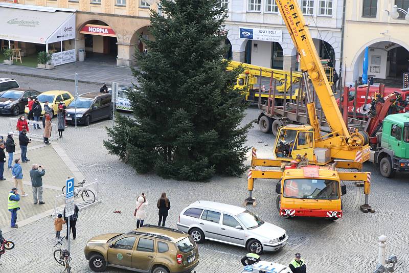 Vánoční strom pro České Budějovice.