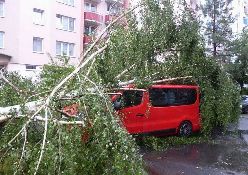 V Českých Budějovicích popadalo mnoho stromů.