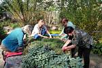 Májová zahrada, rozpočet 2,216 milionu. Eva Hejduková chce vybudovat městskou komunitní přírodní zahradu na sídlišti Máj. Ta by se měla stát místem pro relaxaci, aktivní odpočinek, dobrovolnickou práci, edukaci dospělých i dětí všech věkových skupin.