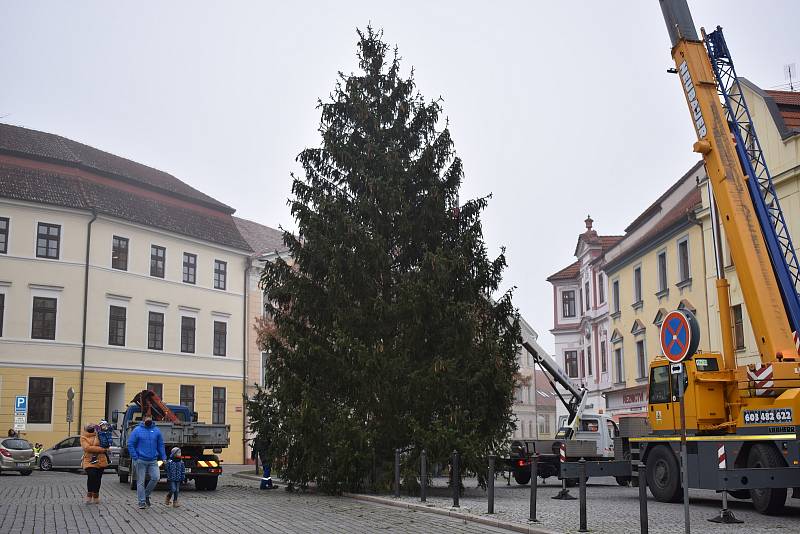 Vánoční strom na Velkém náměstí v Písku.