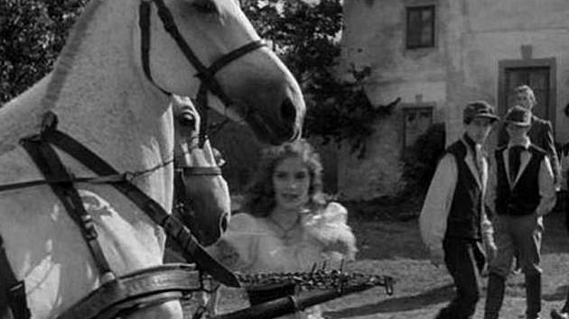 Hledáme pamětníky z natáčení filmu Divá Bára (1949)