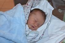 Alexandr Prošek, Lhenice. Prvorozený syn Magdalény Proškové a Ondřeje Bárty se narodil 9. 12. 2022 ve 22.14 hodin. Při narození vážil 3800 g a měřil 51 cm.