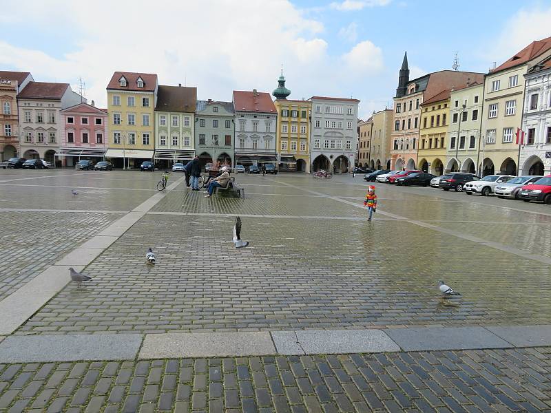 Problém s holuby v Českých Budějovicích by mohl vyřešit holubník. Podívejte se, kolik jich je na náměstí Přemysla Otakara II.