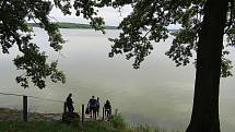Rybník Rožmberk v roce 2022, povodně zde připomíná cedulka s udáním výšky velké vody na stavidle a celá informační tabule s historickými snímky od Rybářství Třeboň.