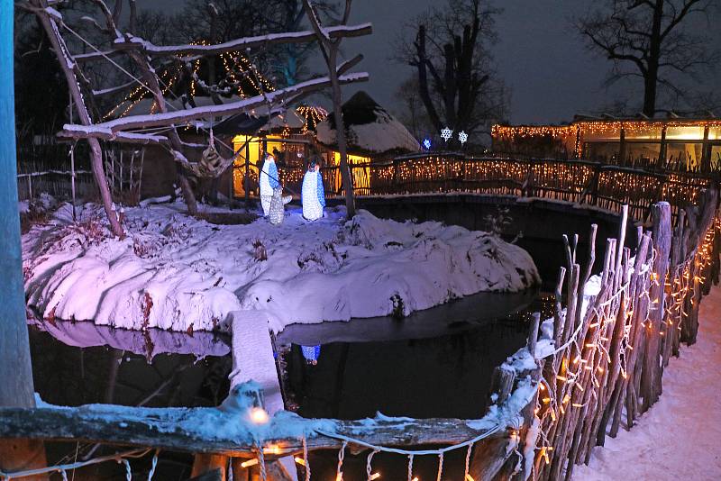 Vánočně nasvícená Zoo Ohrada v Hluboké nad Vltavou.