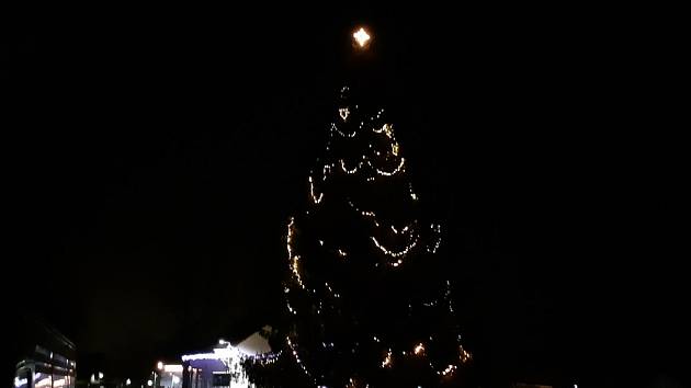 Vánoční strom Hůry.
