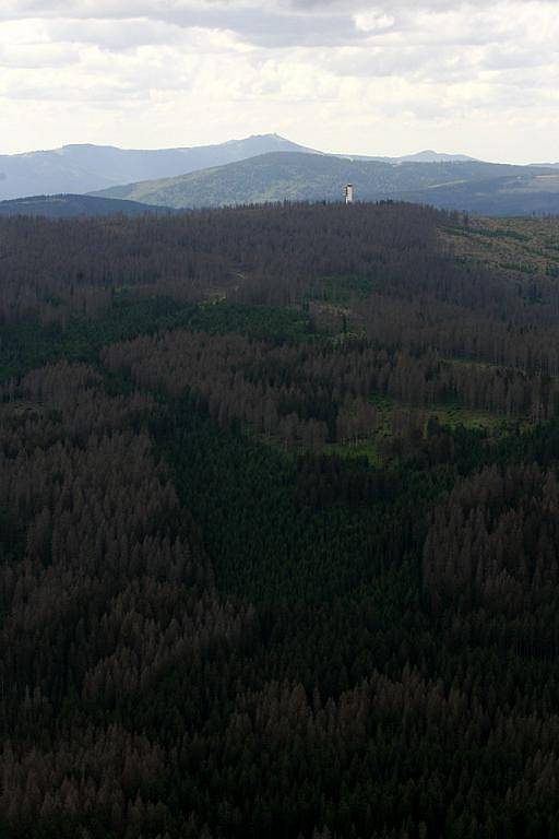 Pohled na Poledník, hnědé skvrny jsou suché stromy.