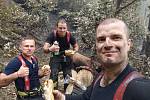 O víkendu přijeli na pomoc při likvidaci požáru v Hřensku hasiči z Jindřichova Hradce a Prachatic.