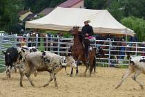 V kempu Poslední štace v Boršově nad Vltavou se v sobotu uskutečnilo Mistrovství České republiky v rodeu.