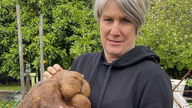 Zahradnice s ne-bramborou.