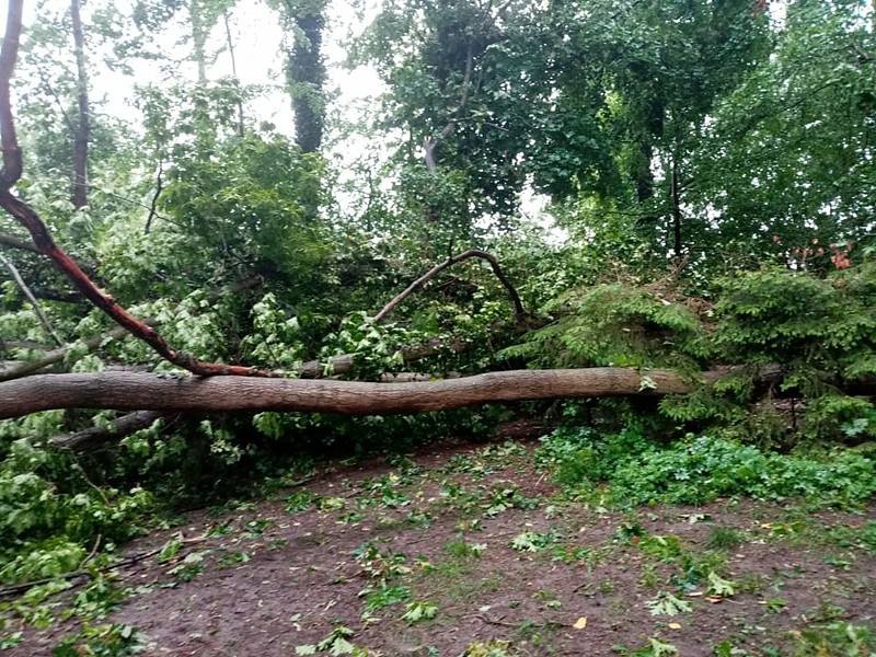 Na psí kotce a na garáž spadly Ivanovi Horáčkovi z Chlumu u Třeboně při sobotním dešti a větru čtyři stromy.