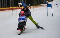 Závody a paraalpském a běžeckém lyžování, snowboardingu a sněžnicích na Lipně.