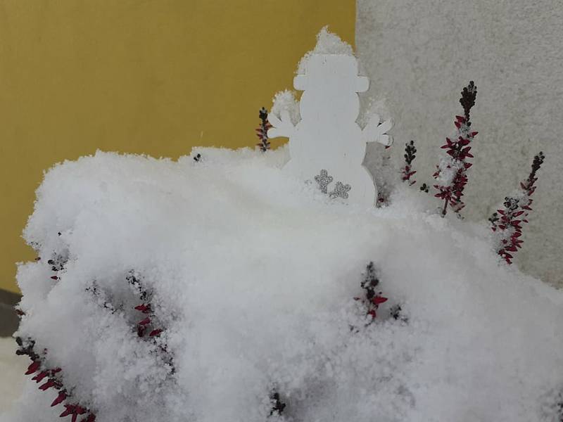 Jižní Čechy jsou pod sněhem. Včetně Lišova (na snímku).