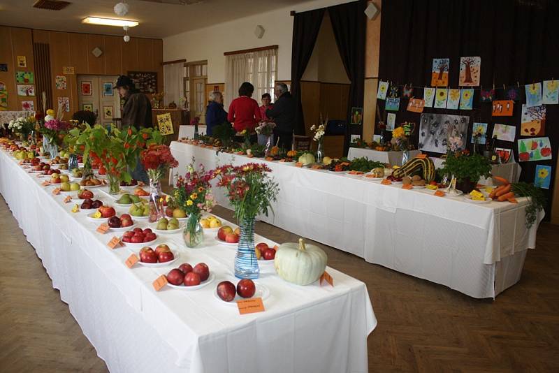 Výstava ovoce a zeleniny se koná do neděle v sále Hospody U Kostela ve Svatém Janu nad Malší.
