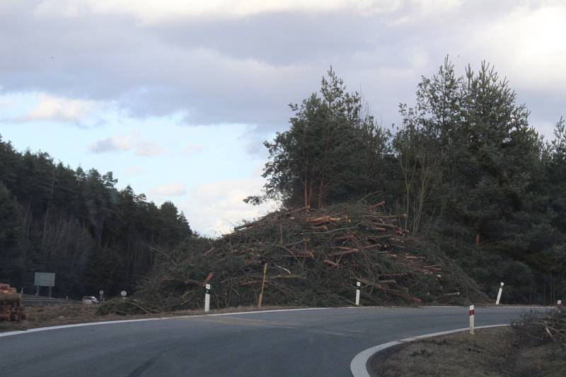 Na úseku budoucí D3 mezi Ševětínem a Borkem už začaly přípravné práce.