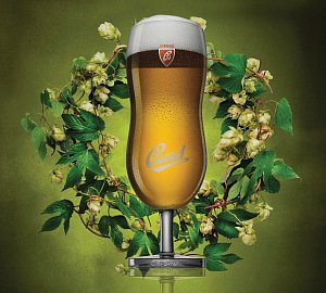 Sudy s limitovanou várkou speciálního piva Bud Strong začínají v těchto dnech narážet ve vybraných restauracích v Česku i v dalších osmi zemích.