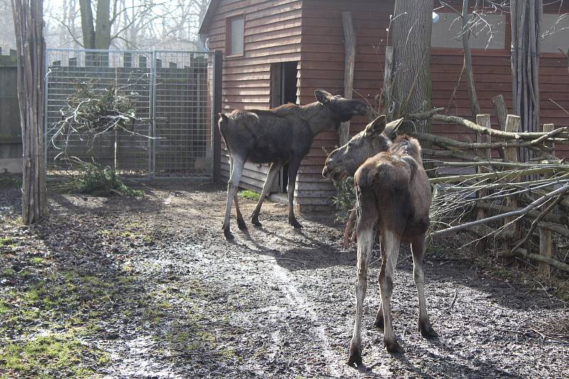 Obyvatelé (a pracovníci) ZOO Ohrada.