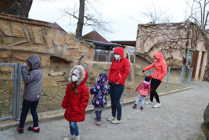 Zoo Ohrada v Hluboké nad Vltavou otevřena