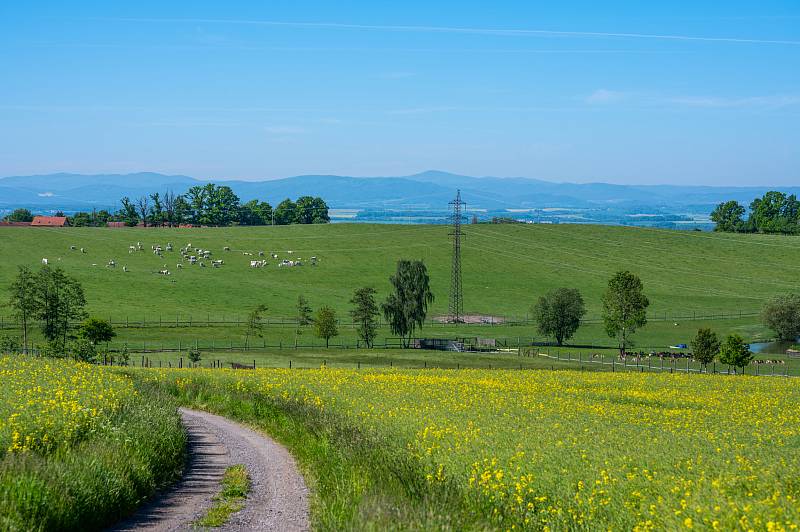 Dvouletý stolní kalendář pro roky 2022-2023 doplňují fotografie krajiny z obcí kolem elektráren Temelín a Dukovany.