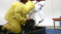 Vojenští veterináři pokračovali 13. června v boletickém výcvikovém prostoru v  námětovém cvičení s názvem Nákaza 2012. Tématem cvičení bylo podezření na vznik nebezpečné nákazy, odběry vzorků od zvířat v ochranných oděvech a ošetřování, případně dekontami
