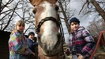 Mezi zvířaty trávily děti jarní prázdniny na příměstském táboře hlubocké zoo.