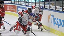 Euro Hockey Challenge ČR - Rakousko v Jindřichově Hradci