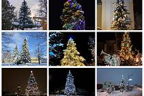 Který z vánočních stromů na Českobudějovicku je podle vás ten nejkrásnější? Hlasujte v anketě.