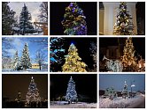Který z vánočních stromů na Českobudějovicku je podle vás ten nejkrásnější? Hlasujte v anketě.