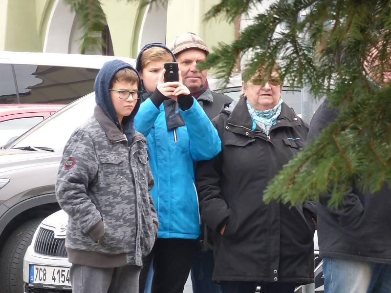 Vánoční stromek na českobudějovické náměstí Přemysla Otakara II. doputoval ze Zavadilky.