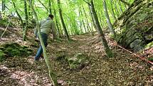 Na skále nad řekou kousek nad Purkarcem budují Hlubočtí via ferratu, zajištěnou lezeckou trasu.