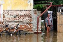 Na jihu Čech bylo povodněmi postiženo téměř 120 obcí. Jednou z nejvíce zasažených byly Milenovice u Protivína, kde Blanice zaplavila třetinu domů.