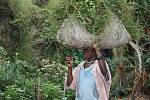 Fotografie z třítýdenní cesty Šimona Hellara Rwandou, Tanzanií a Ugandou.