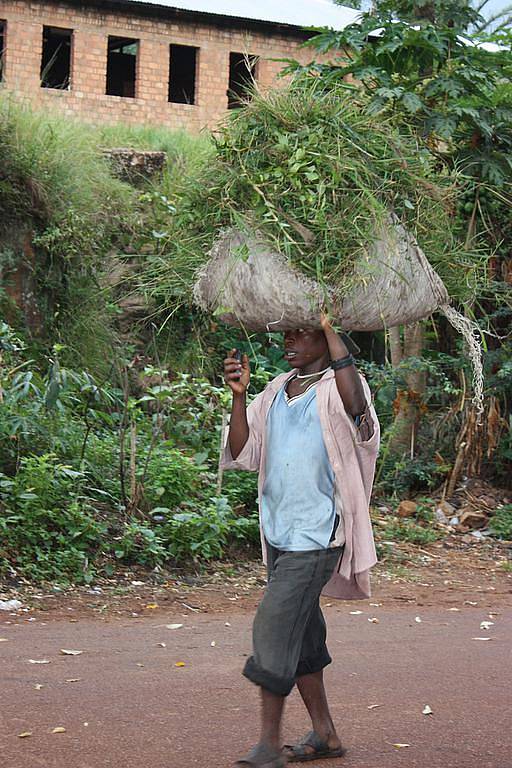 Fotografie z třítýdenní cesty Šimona Hellara Rwandou, Tanzanií a Ugandou.