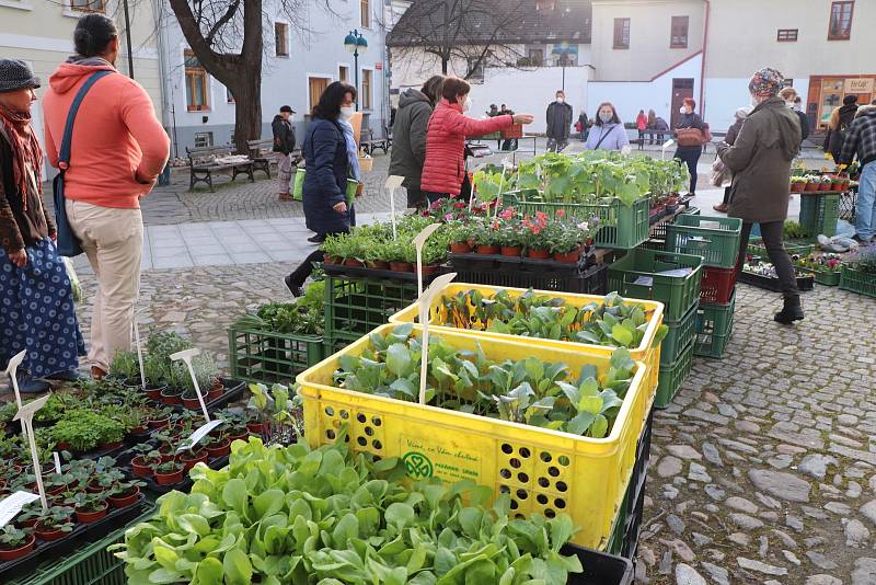 Farmářský trh na Piaristickém náměstí v Českých Budějovicích je opět otevřen.