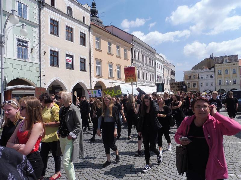 Budějovický majáles vyvrcholil v pátek 24. května tradičním průvodem městem. Studenti ze 17 škol prošli ulicemi centra v maskách. Dav mířil na Sokolský ostrov, kde program pokračoval volbou Krále majálesu. Navečer se zde tradičně koná hudební program.