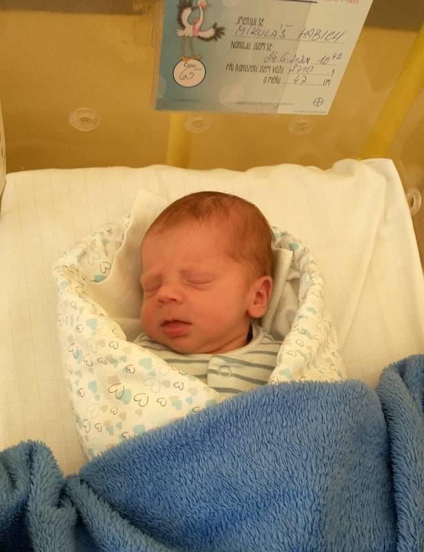 Martina a Petr Habichovi přivítali 24. 6. 2020 v táborské nemocnici na světě syna Mikuláše Habicha. Narodil se v 10.42 h., vážil 2,71 kg. Vyrůstat bude s bráškou Jonášem.