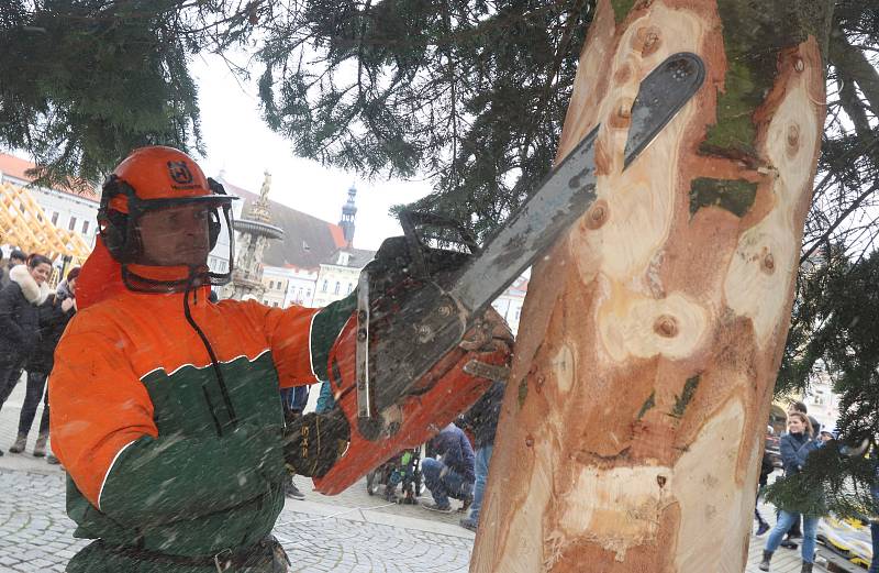 Vánoční strom pro České Budějovice ze Zavadilky,část 1