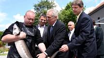 Prezident Miloš Zeman při návštěvě Mezinárodního vzdělávacího střediska ochrany vod ve Vodňanech. 