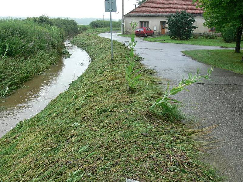 Na polehané trávě je krásně vidět, až kam se vylila v noci ze soboty na neděli meliorační stoka v Jaronicích. Stoka pak zaplavila hlavní silnici a řadu dvorů či sklepů.