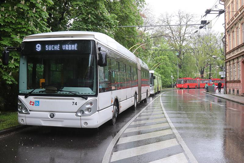 Strom spadl v ulici Na sadech v Českých Budějovicích do troleje. Doprava v krajském městě kolabuje.