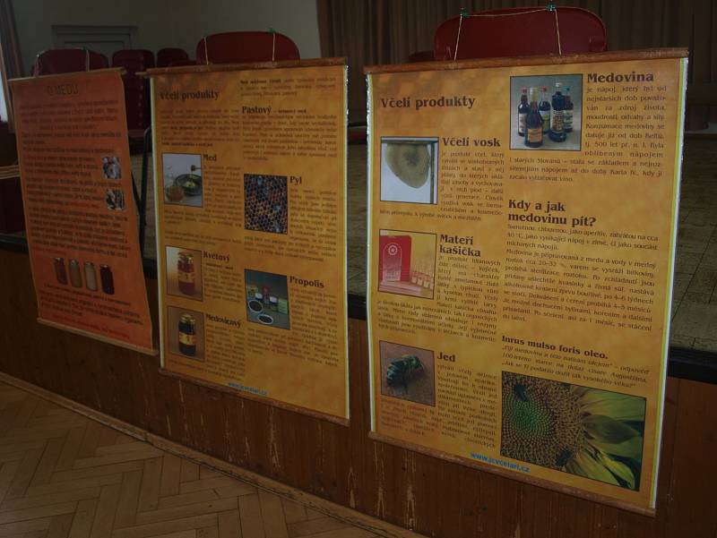 Život včel a různé zajímavosti z přírody poznali návštěvníci sobotního Včelkohraní, které se uskutečnilo v kulturním domě v Borku.