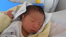 Dao Bao Nhi je hrdým občánkem města Soběslav. Narodil se v českobudějovické porodnici v pondělí 15. 8. 2011 v 10 hodin a 25 minut. Porodní váha chlapečka byla 3,25 kg.