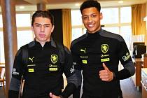 Louis Thomas Buffon v Písku